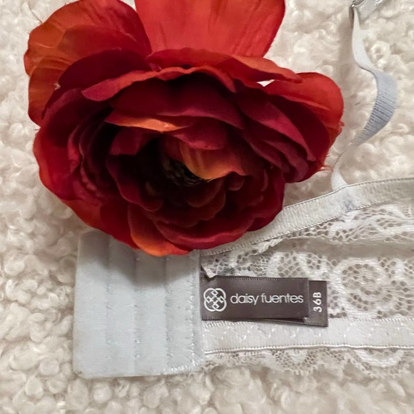 Daisy Fluentes Beautiful White Lace Extended Bra Size 36B - Picture 2 of 5